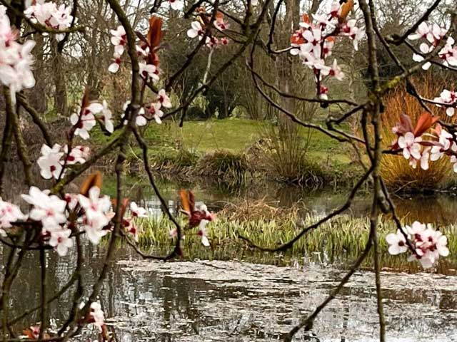 Stourton Caundle